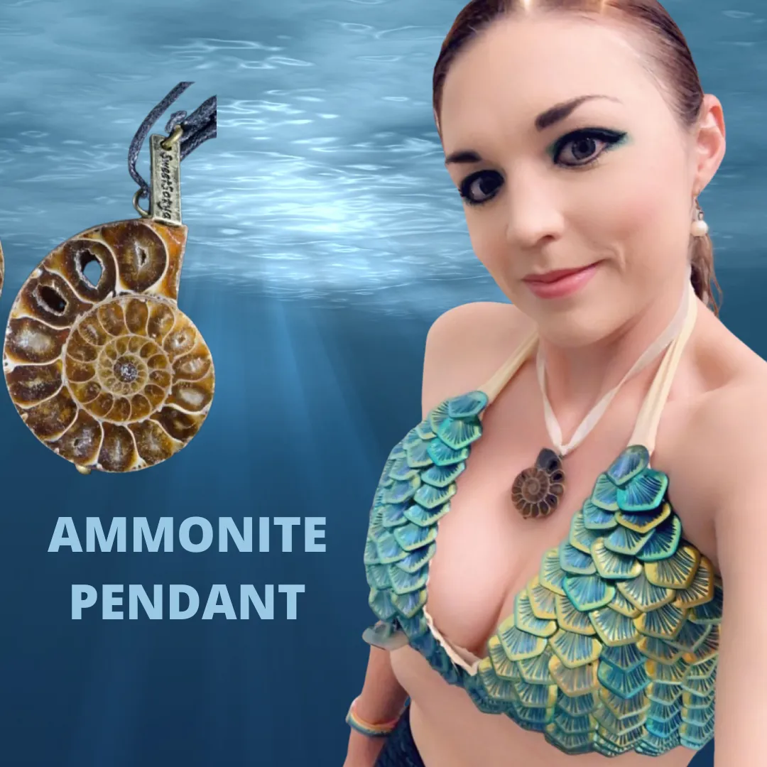 Ammonite Fossil Jewelry