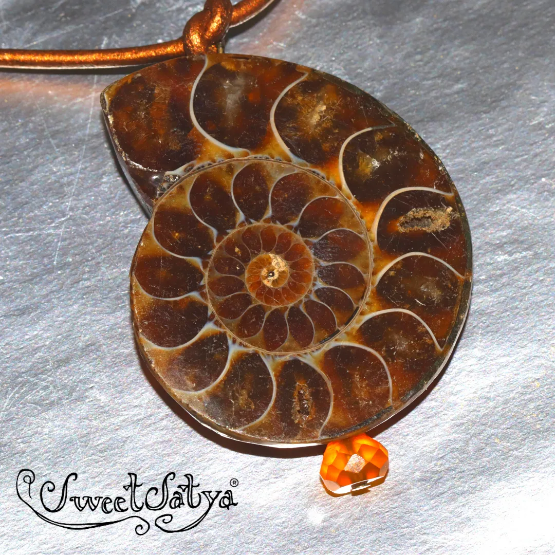 Ammonite Fossil Jewelry